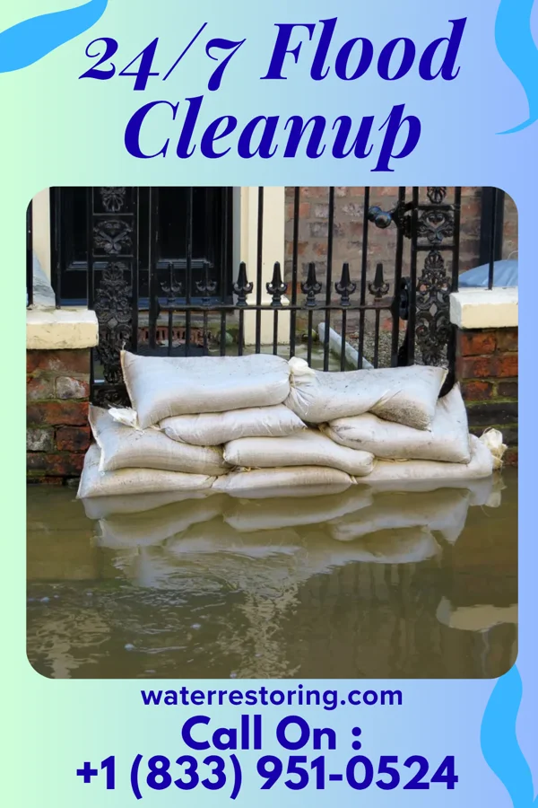 24/7 Flood Cleanup in Fremont, MI