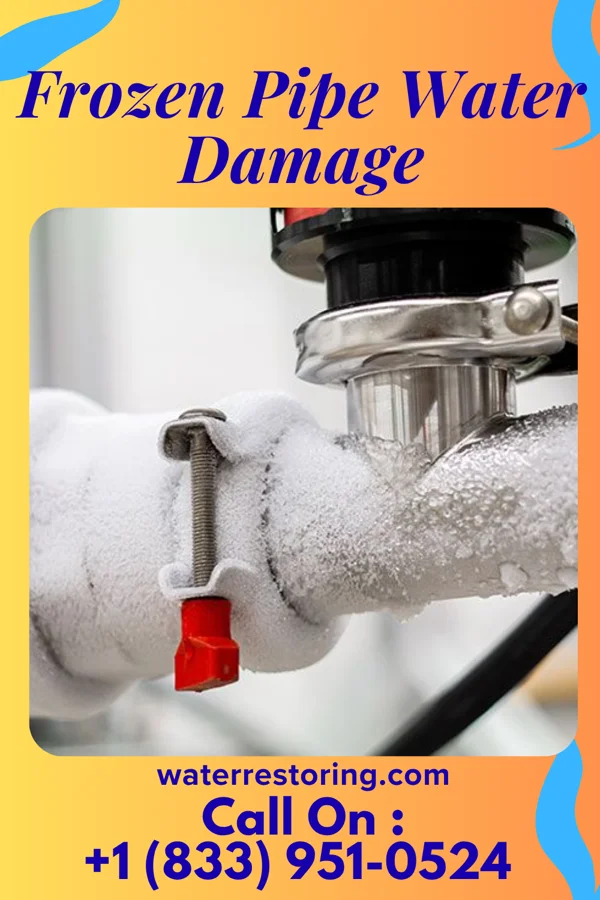 Frozen Pipe Water Damage in Fremont, MI