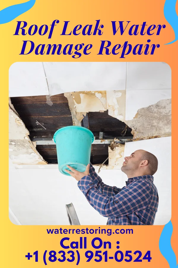 Roof Leak Water Damage Repair in Fremont, MI