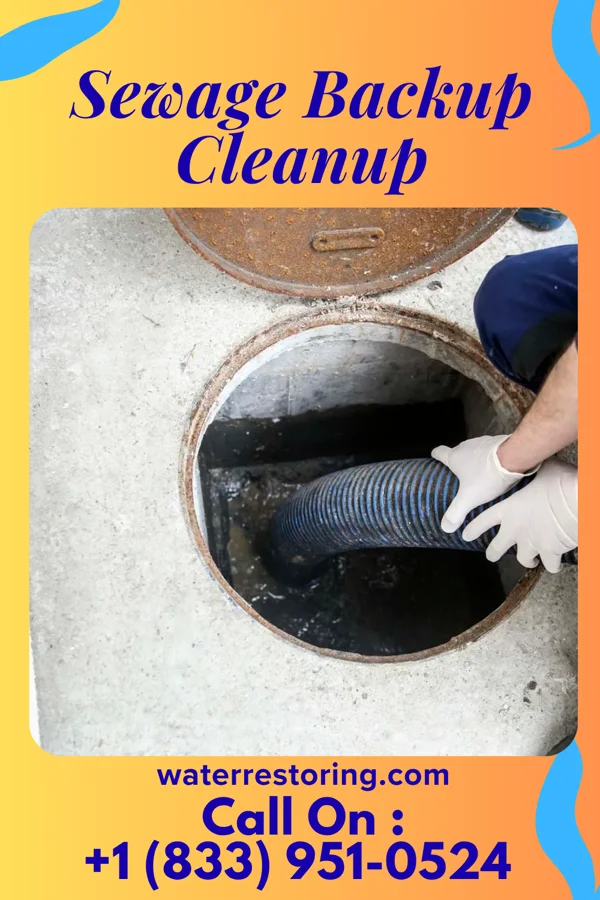 Sewage Backup Cleanup in Fremont, MI