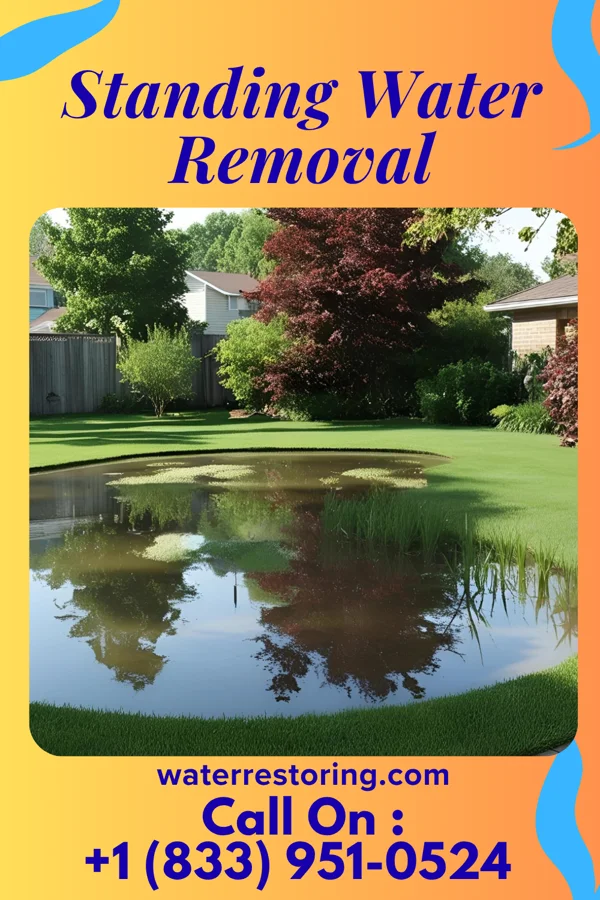 Standing Water Removal in Fremont, MI